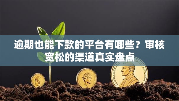 逾期也能下款的平台有哪些？审核宽松的渠道真实盘点