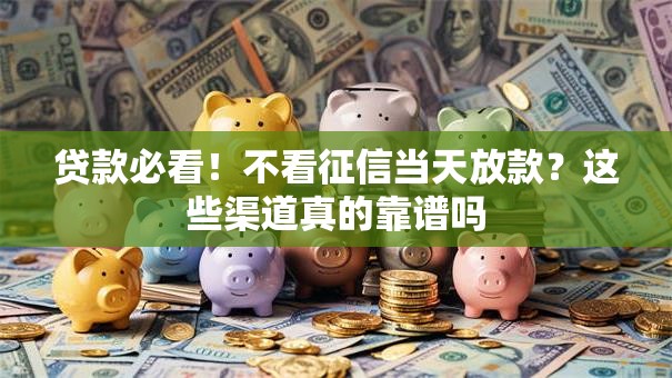 贷款必看！不看征信当天放款？这些渠道真的靠谱吗