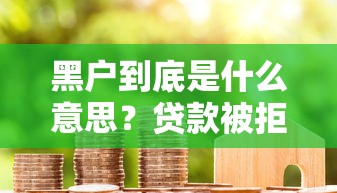 黑户到底是什么意思？贷款被拒原因与解决办法全解析