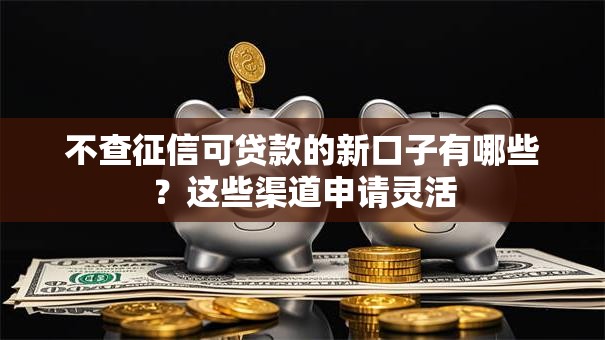 不查征信可贷款的新口子有哪些？这些渠道申请灵活