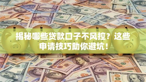 揭秘哪些贷款口子不风控？这些申请技巧助你避坑！