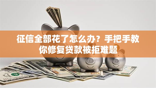 征信全部花了怎么办？手把手教你修复贷款被拒难题