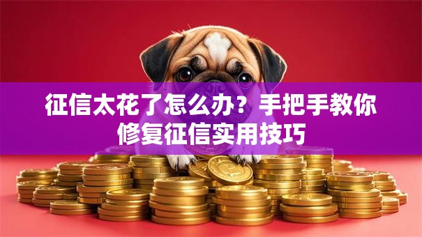 征信太花了怎么办？手把手教你修复征信实用技巧