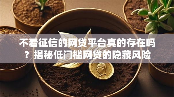 不看征信的网贷平台真的存在吗？揭秘低门槛网贷的隐藏风险