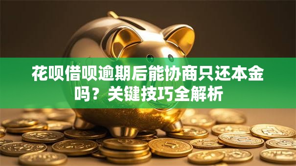 花呗借呗逾期后能协商只还本金吗？关键技巧全解析