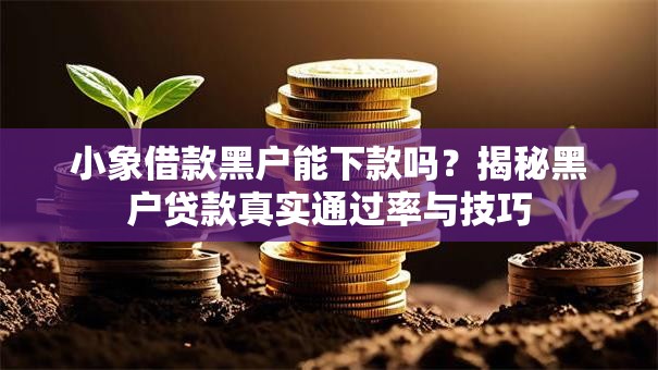 小象借款黑户能下款吗？揭秘黑户贷款真实通过率与技巧