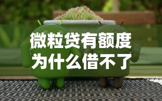 微粒贷有额度为什么借不了钱？原因解析与解决办法