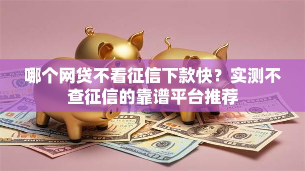 哪个网贷不看征信下款快？实测不查征信的靠谱平台推荐