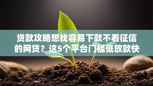 贷款攻略想找容易下款不看征信的网贷？这5个平台门槛低放款快