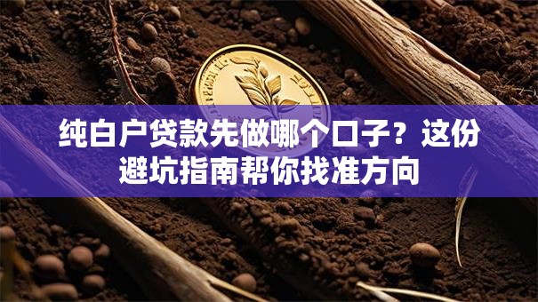 纯白户贷款先做哪个口子？这份避坑指南帮你找准方向