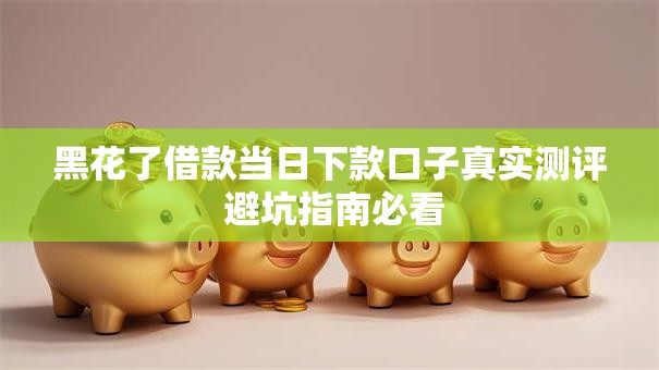 黑花了借款当日下款口子真实测评 避坑指南必看