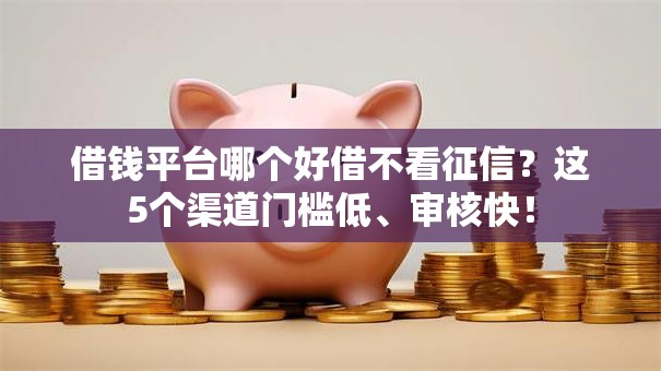 借钱平台哪个好借不看征信？这5个渠道门槛低、审核快！