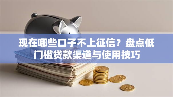 现在哪些口子不上征信？盘点低门槛贷款渠道与使用技巧