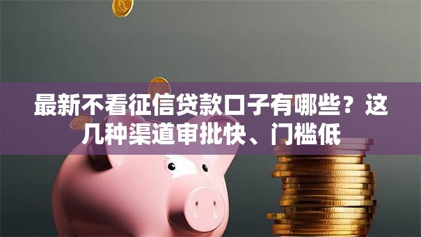 最新不看征信贷款口子有哪些？这几种渠道审批快、门槛低