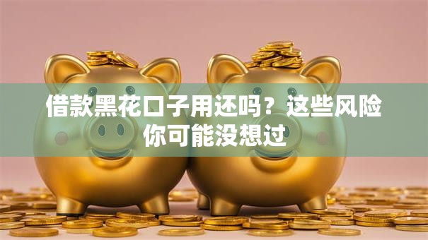 借款黑花口子用还吗？这些风险你可能没想过