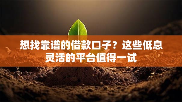 想找靠谱的借款口子？这些低息灵活的平台值得一试