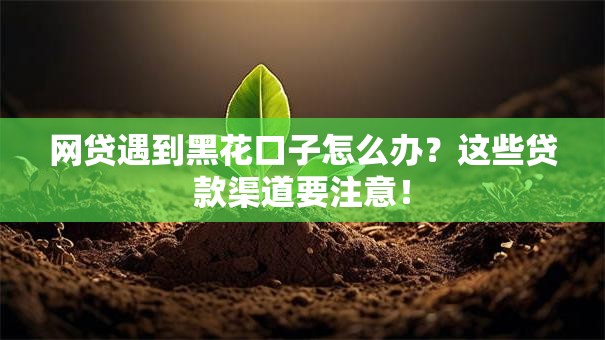 网贷遇到黑花口子怎么办？这些贷款渠道要注意！