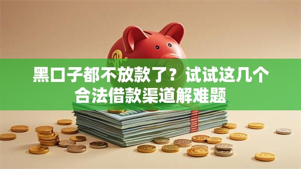 黑口子都不放款了？试试这几个合法借款渠道解难题