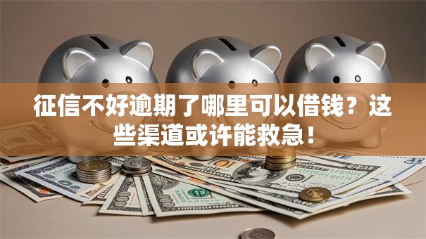 征信不好逾期了哪里可以借钱？这些渠道或许能救急！