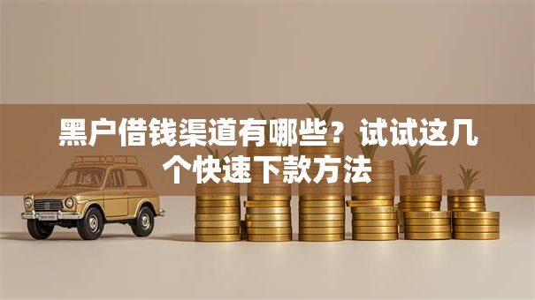 黑户借钱渠道有哪些？试试这几个快速下款方法
