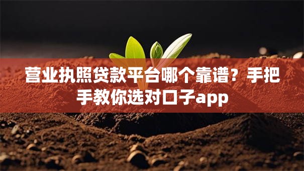 营业执照贷款平台哪个靠谱？手把手教你选对口子app