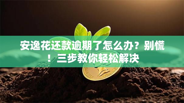 安逸花还款逾期了怎么办?别慌!三步教你轻松解决 安逸花还款逾期了怎么办?别慌!三步教你轻松解决