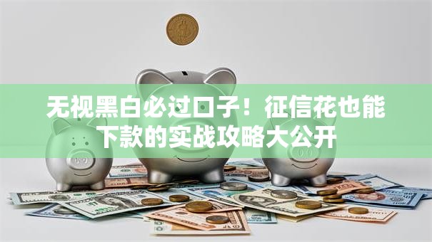 无视黑白必过口子！征信花也能下款的实战攻略大公开