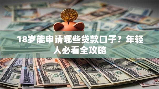 18岁能申请哪些贷款口子？年轻人必看全攻略