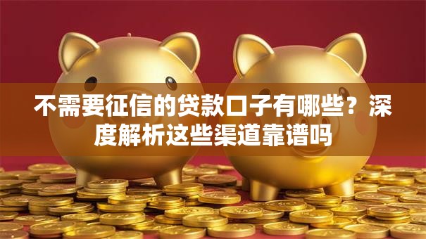 不需要征信的贷款口子有哪些？深度解析这些渠道靠谱吗