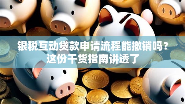 银税互动贷款申请流程能撤销吗？这份干货指南讲透了