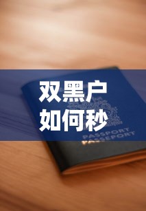双黑户如何秒下1500网贷？真实申请攻略大揭秘