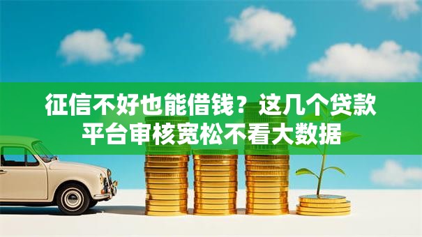 征信不好也能借钱？这几个贷款平台审核宽松不看大数据