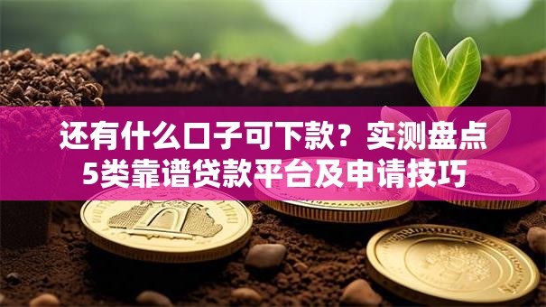 还有什么口子可下款？实测盘点5类靠谱贷款平台及申请技巧