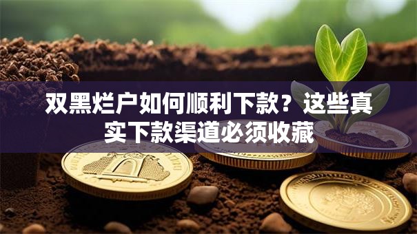 双黑烂户如何顺利下款？这些真实下款渠道必须收藏
