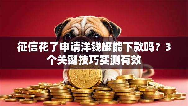 征信花了申请洋钱罐能下款吗？3个关键技巧实测有效