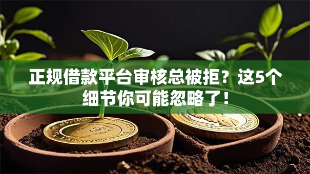 正规借款平台审核总被拒？这5个细节你可能忽略了！