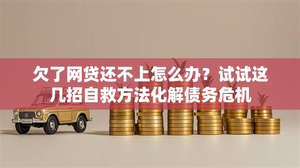 欠了网贷还不上怎么办？试试这几招自救方法化解债务危机