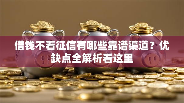 借钱不看征信有哪些靠谱渠道？优缺点全解析看这里