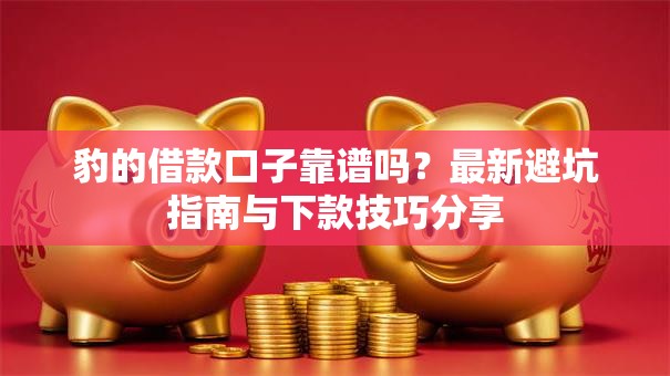 豹的借款口子靠谱吗？最新避坑指南与下款技巧分享