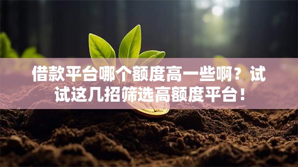 借款平台哪个额度高一些啊？试试这几招筛选高额度平台！