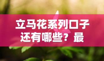 立马花系列口子还有哪些？最新靠谱平台盘点推荐