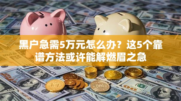黑户急需5万元怎么办？这5个靠谱方法或许能解燃眉之急