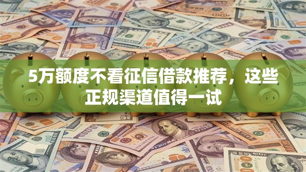 5万额度不看征信借款推荐，这些正规渠道值得一试