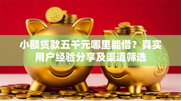 小额贷款五千元哪里能借？真实用户经验分享及渠道筛选