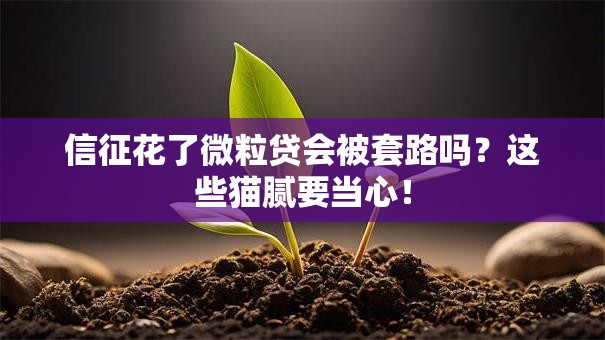 信征花了微粒贷会被套路吗？这些猫腻要当心！