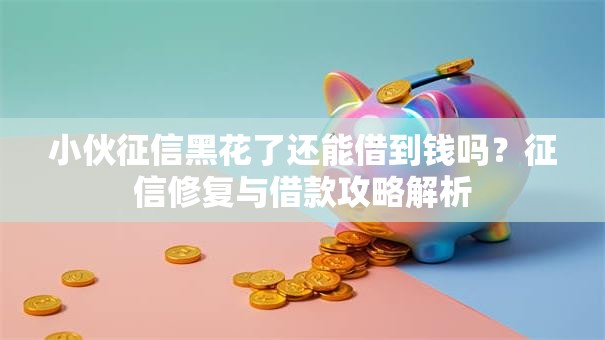 小伙征信黑花了还能借到钱吗？征信修复与借款攻略解析
