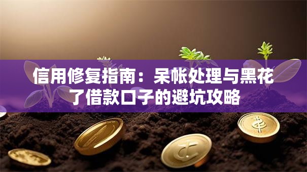 信用修复指南：呆帐处理与黑花了借款口子的避坑攻略