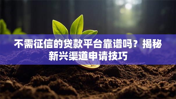 不需征信的贷款平台靠谱吗？揭秘新兴渠道申请技巧