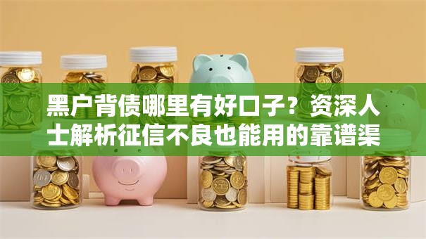 黑户背债哪里有好口子？资深人士解析征信不良也能用的靠谱渠道