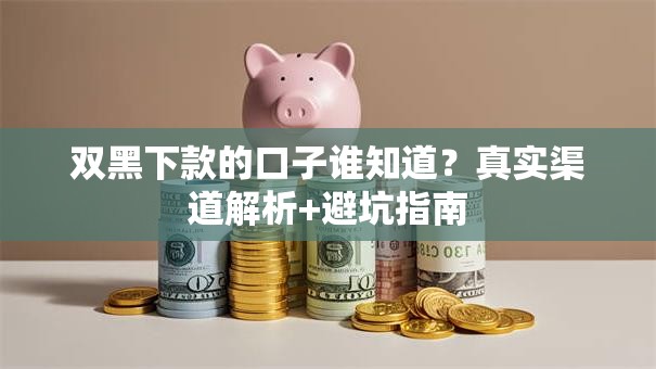 双黑下款的口子谁知道？真实渠道解析+避坑指南